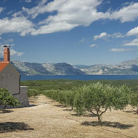 Holiday Pipo Holiday home Pucisca